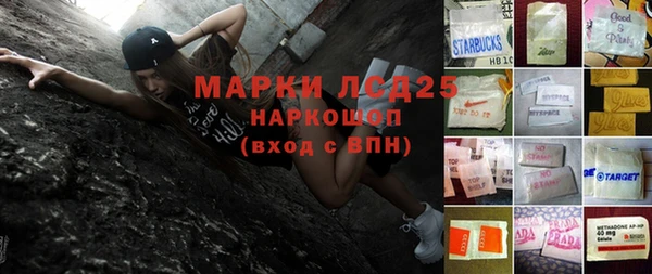 дмт Бородино