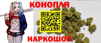 гашик Балахна