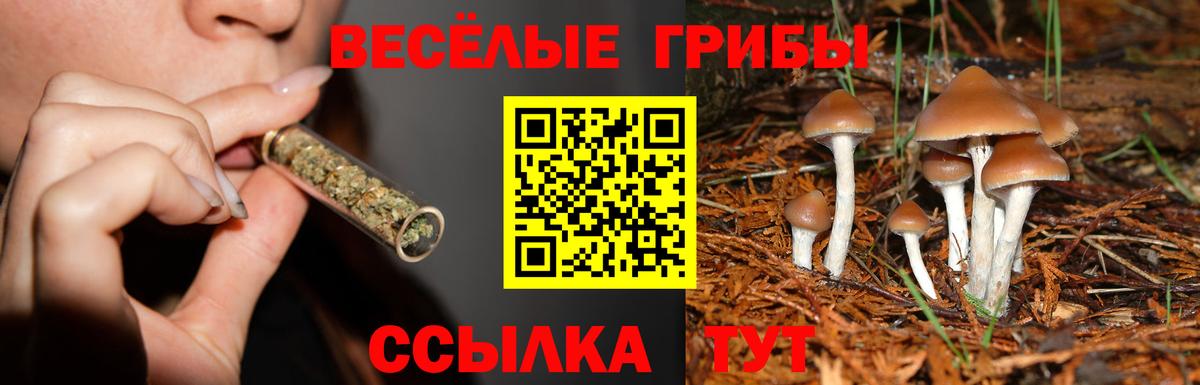 Галлюциногенные грибы мицелий  Псилоцибиновые грибы прущие грибы  Богородицк  Вход с VPN 